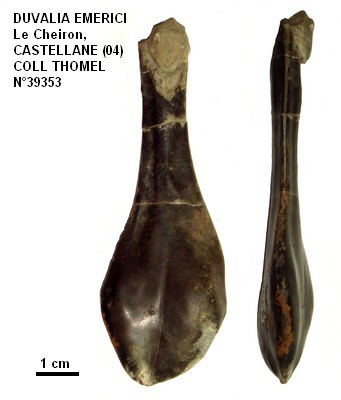 De castellane 39353